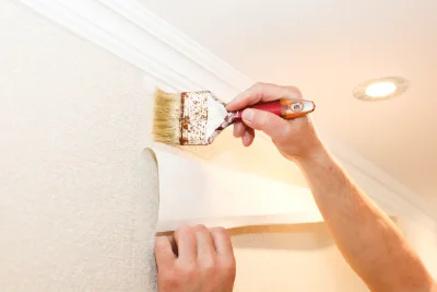 Pose de papier peint à Roquiague — revêtements muraux et toiles de verre